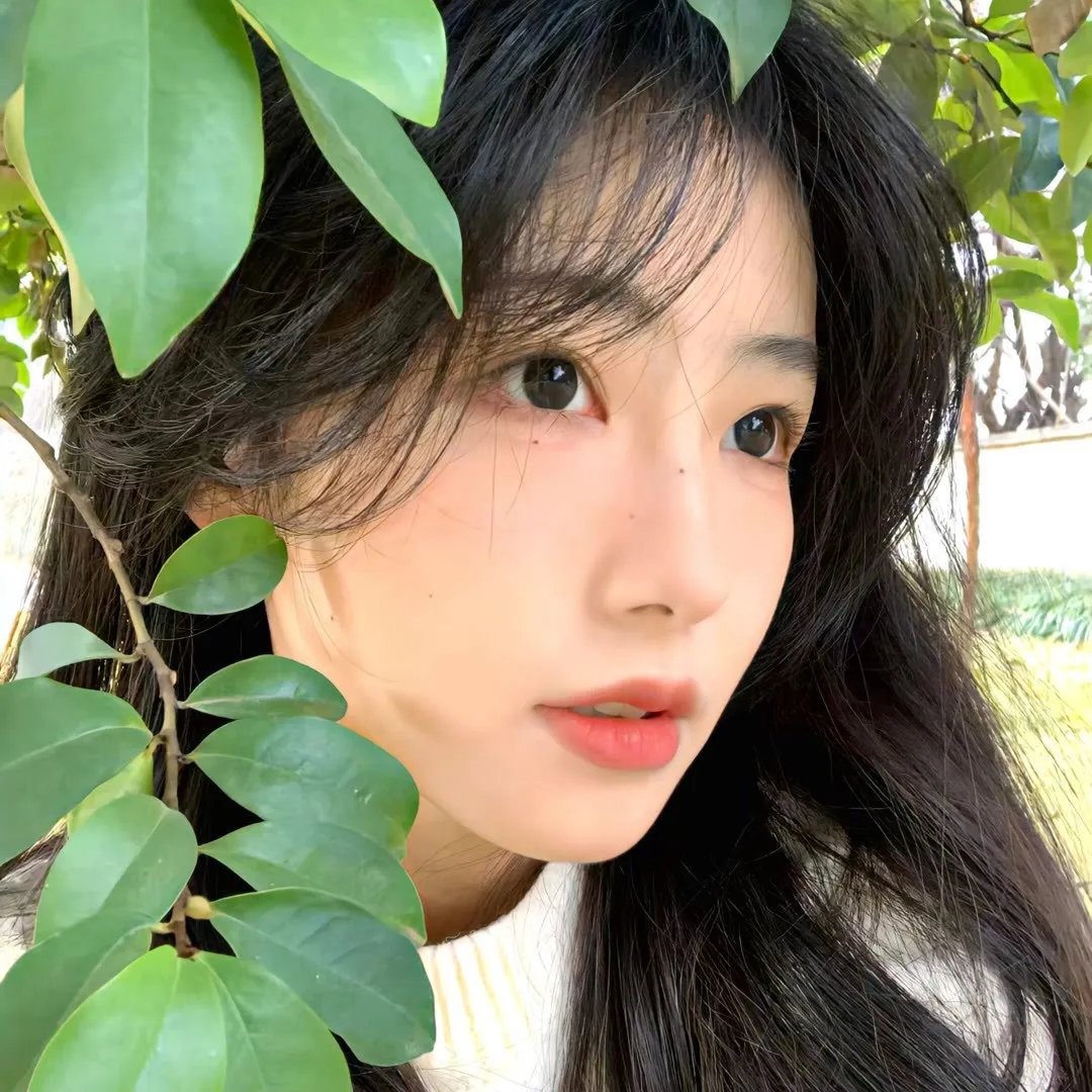 监护者